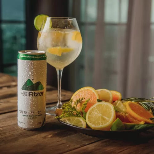 Fitzer Hard Seltzer Citricos 355 ml.